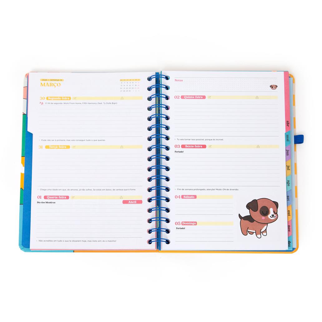 Agenda Wonder 2026 Semanal - Planos random Mr Wonderful