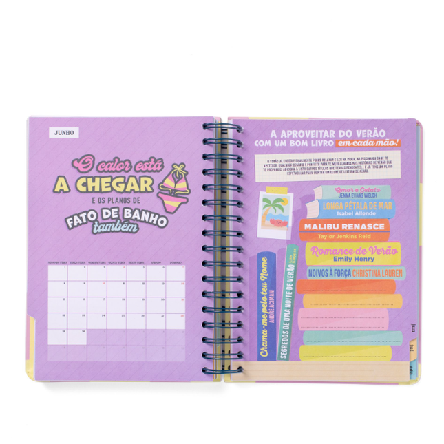 Agenda Wonder 2025-26 Diária - Grande dia á vista - Mr.Wonderful