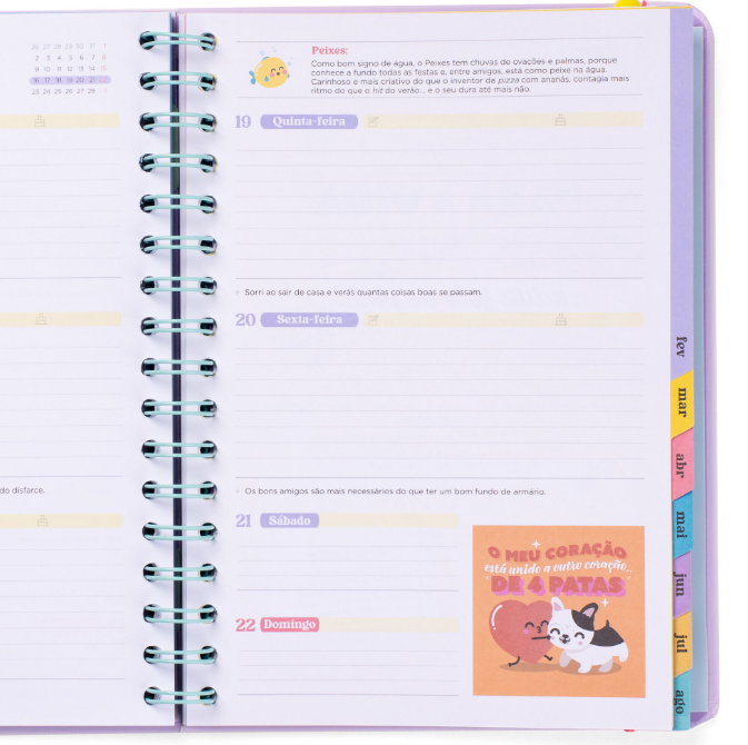 Agenda Wonder 2025-26 Semanal - Algo mágico espera por mim - Mr.Wonderful
