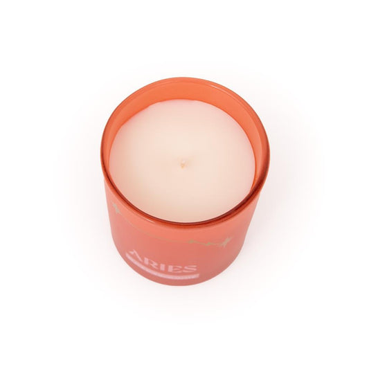 Vela perfumada - Carneiro - Mr. Wonderful