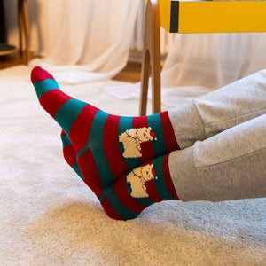 Meias de Natal Legami It's a Match! – Llama Adulto
