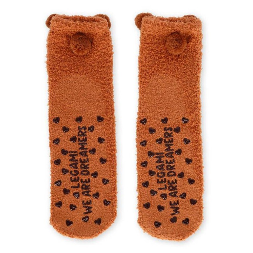 Meias antiderrapantes Legami Urso Adulto