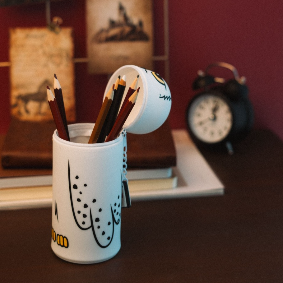 ESTOJO 3D HARRY POTTER HEDWIG