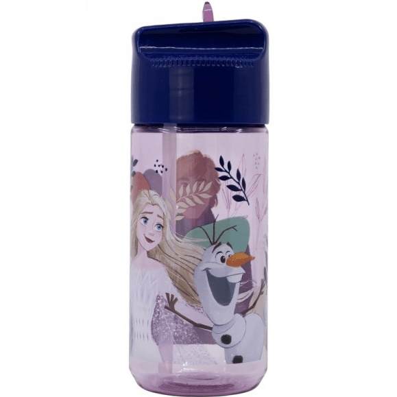 Garrafa Frozen 430ML