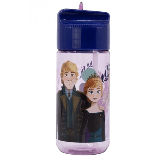 Garrafa Frozen 430ML