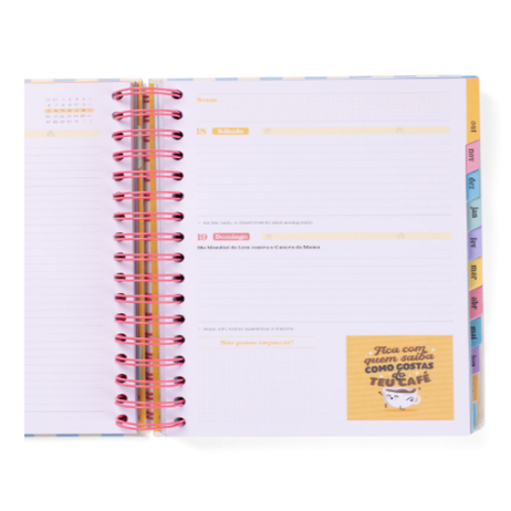 Agenda Wonder 2025-26 Diária - Cada dia mais e melhor - Mr.Wonderful