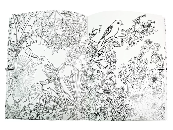Livro para colorir - Colouring Calm and Peace – Birds