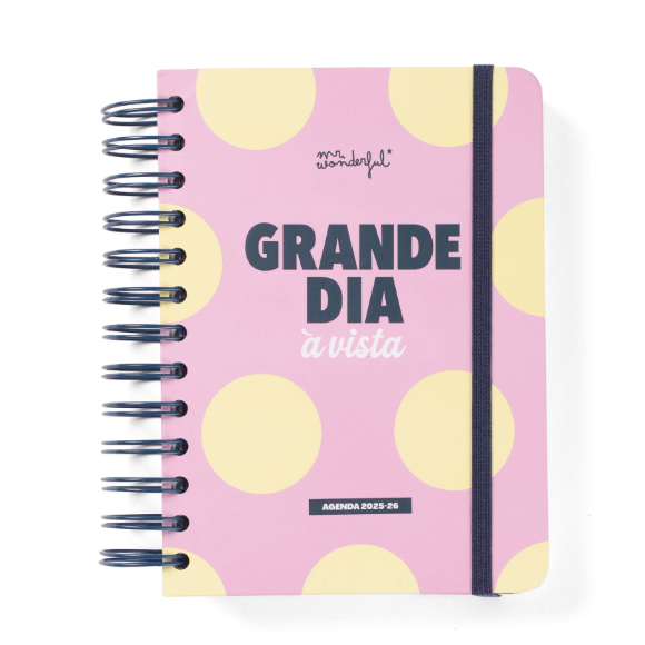 Agenda Wonder 2025-26 Diária Pequena - Grande dia à vista - Mr.Wonderful - Papelaria Encantada