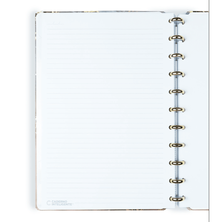 Caderno Inteligente Grande Jasper - Papelaria Encantada