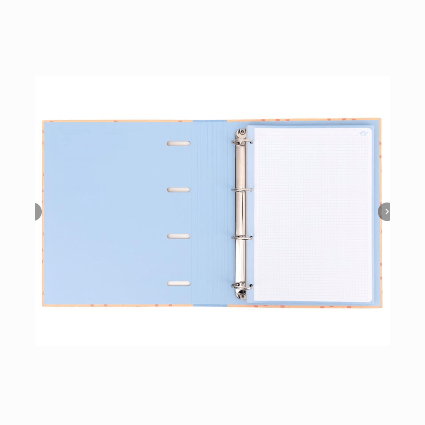 Dossier com Argolas - Ready to roll Mr - Wonderful - Papelaria Encantada