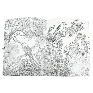 Livro para colorir - Colouring Calm and Peace – Birds - Papelaria Encantada