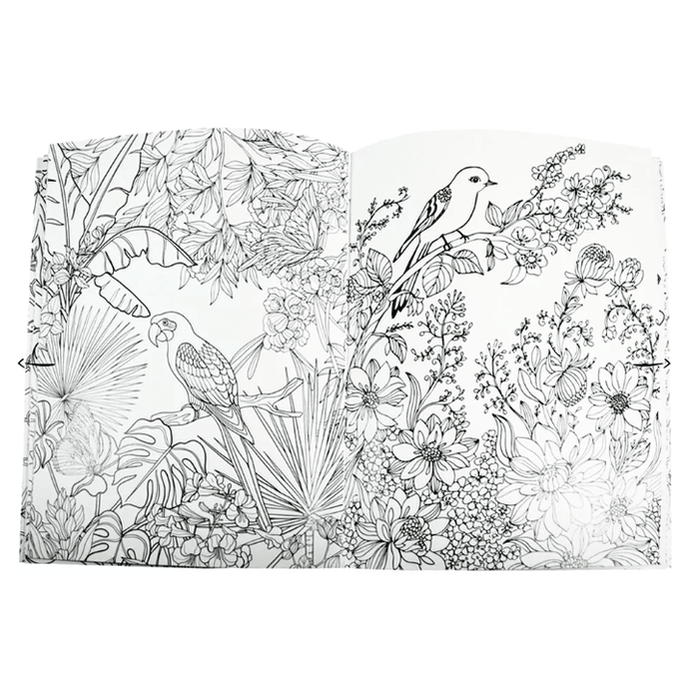 Livro para colorir - Colouring Calm and Peace – Birds - Papelaria Encantada