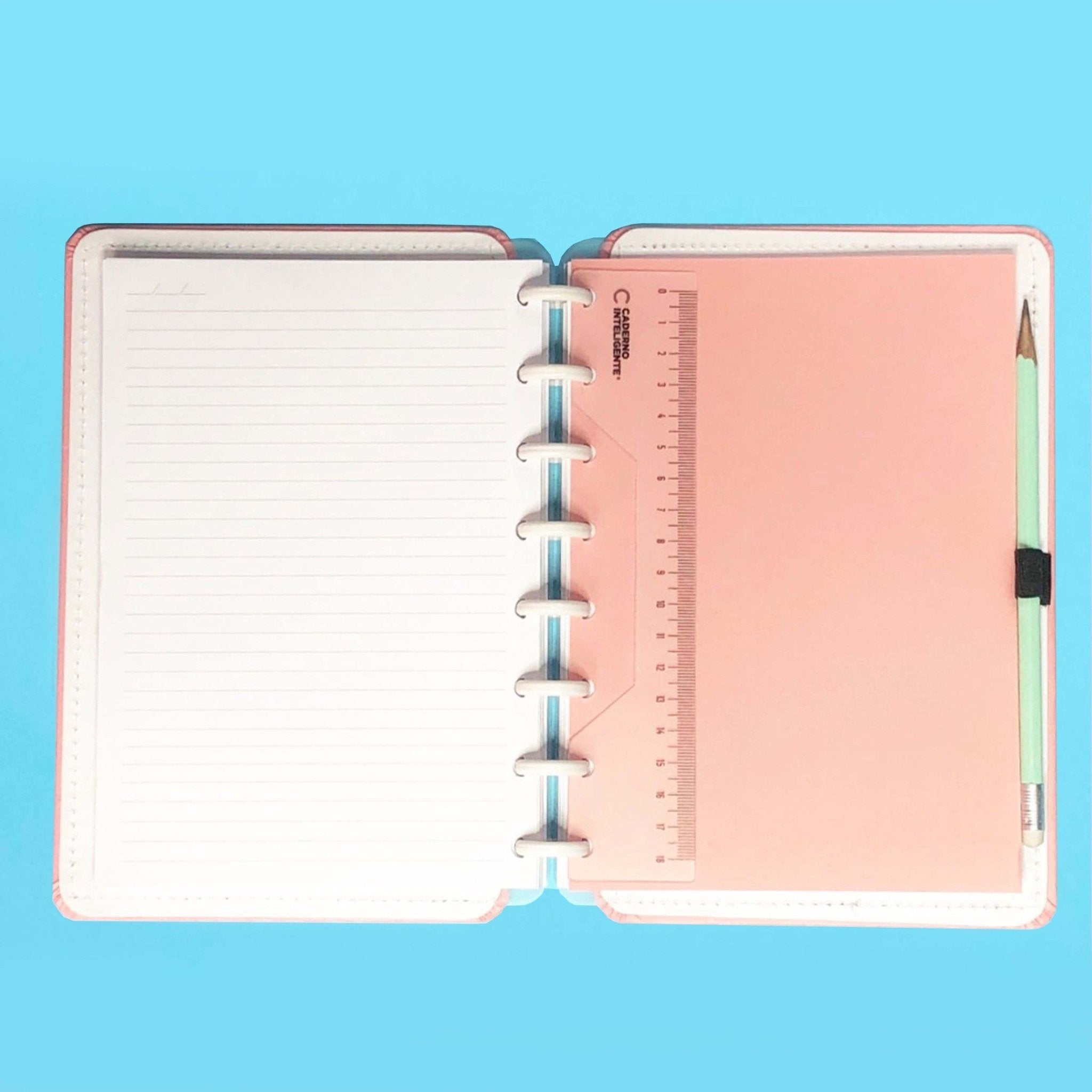 Régua para caderno inteligente - Papelaria Encantada