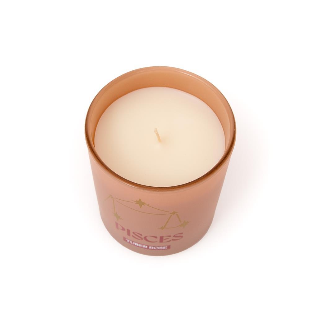Vela perfumada - Peixes - Mr. Wonderful - Papelaria Encantada
