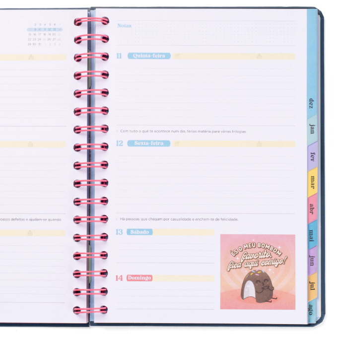 Agenda Wonder 2025-26 Semanal - Superplanos, Emoções e Boas Vibrações - Mr.Wonderful