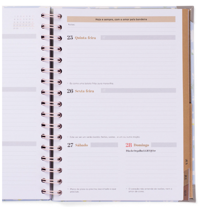 Agenda Wonder 2025-26 Semanal - Era uma vez ... a minha vida - Mr.Wonderful