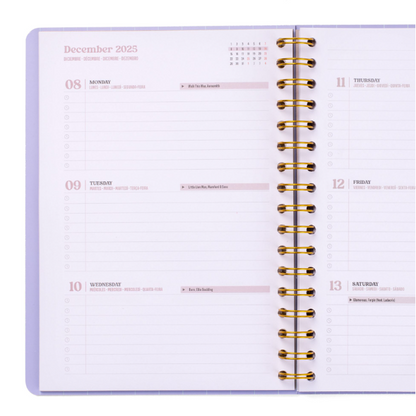Agenda Wonder 2025-26 Semanal - Effort+ Action = Sucess - Mr.Wonderful