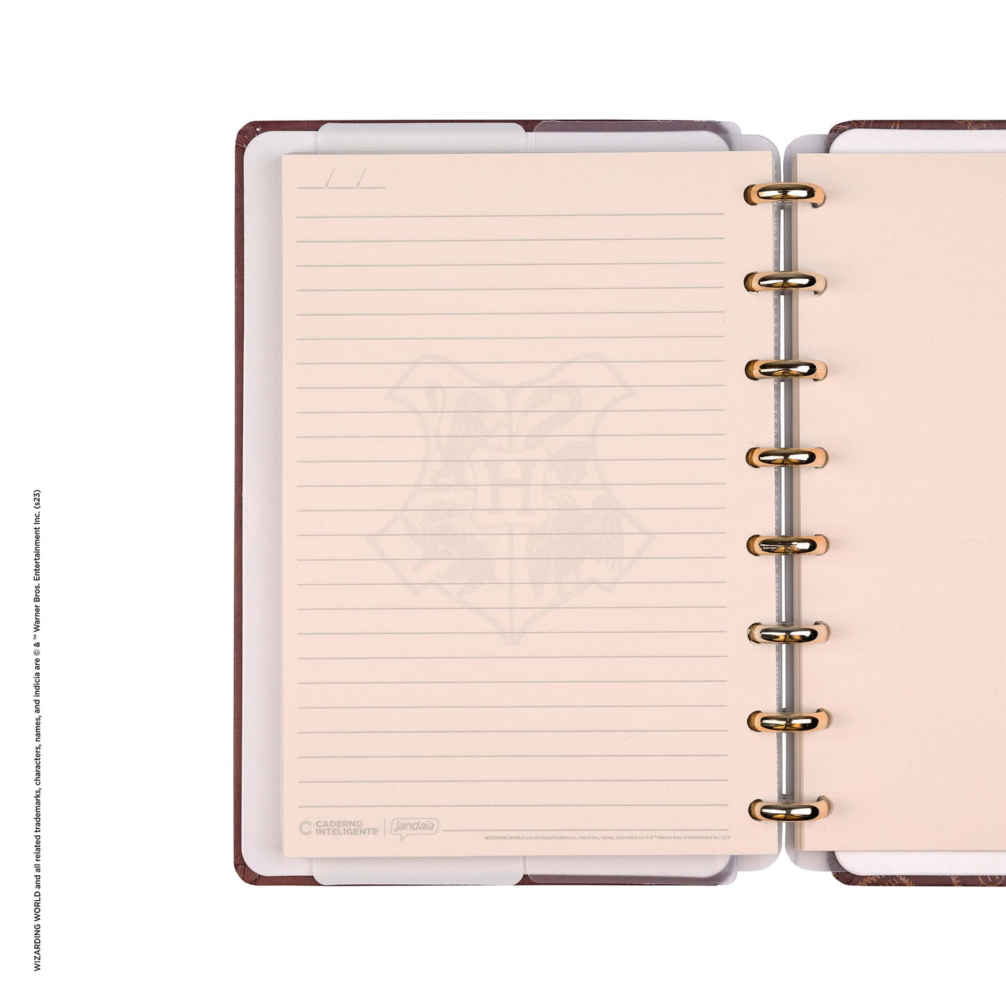 Caderno Inteligente by Harry Potter - Sorting Hat A5