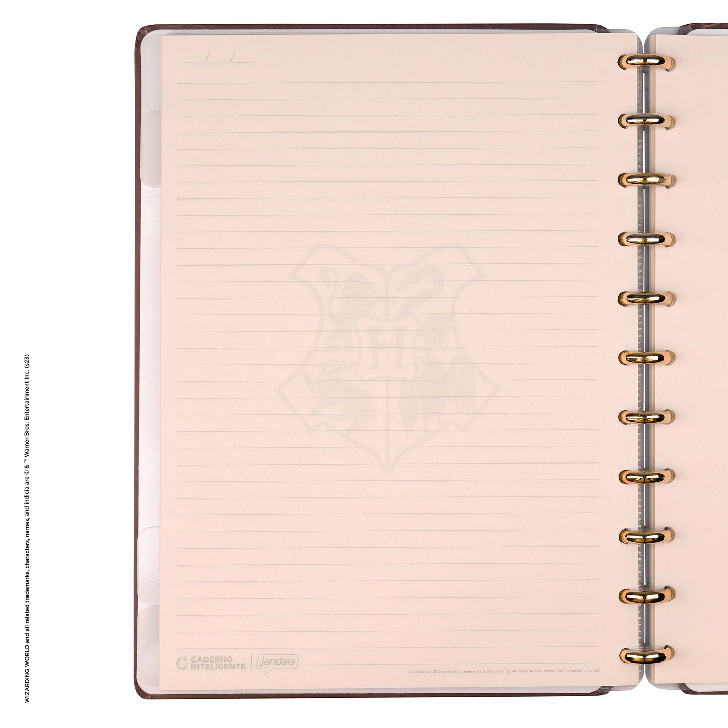Caderno Inteligente by Harry Potter - Sorting Hat