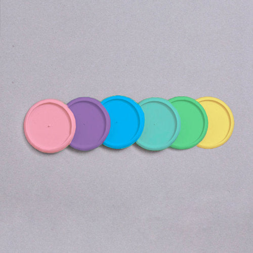 Discos G e elásticos diversidade brasileira para caderno inteligente