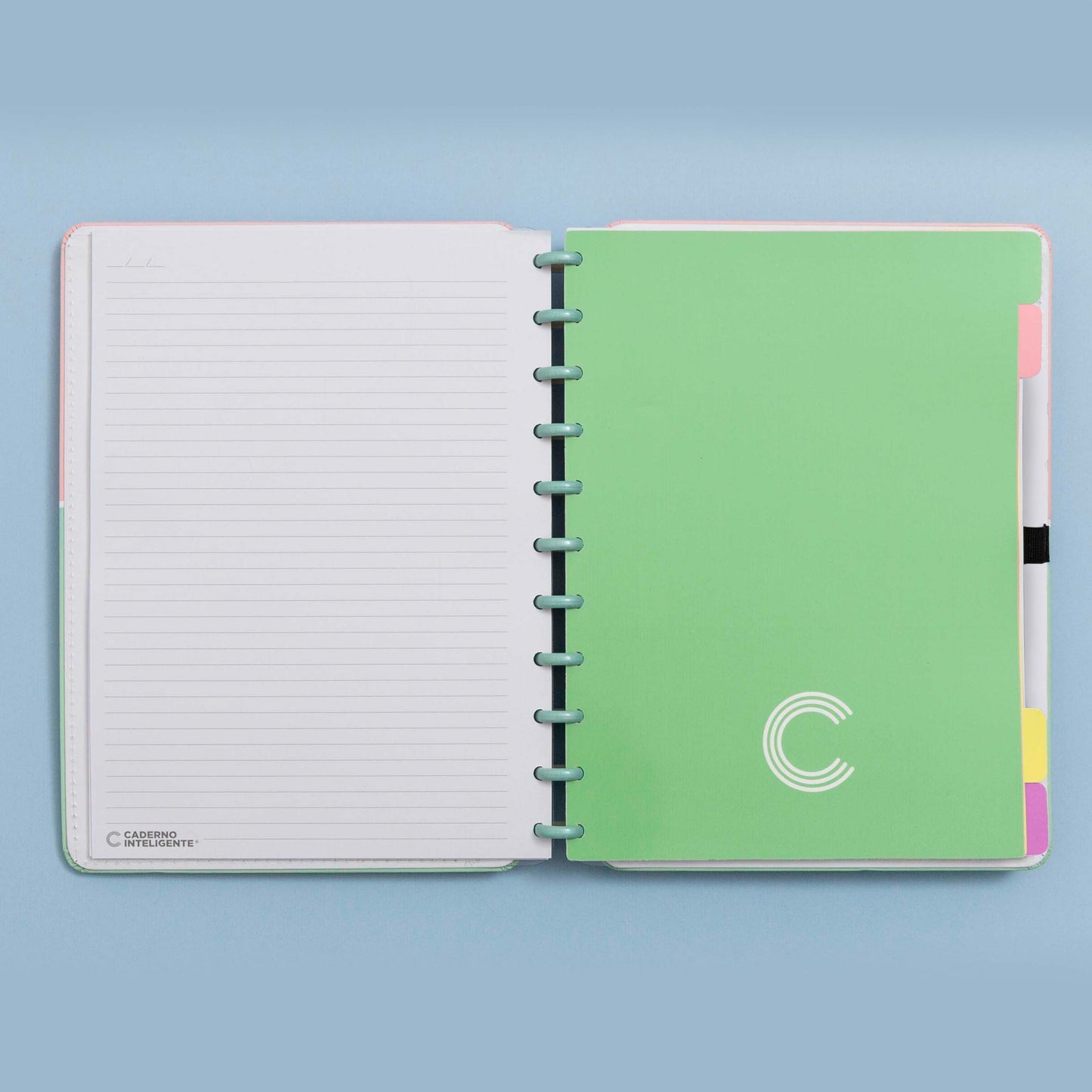 Separadores Pastel Grande para Caderno Inteligente