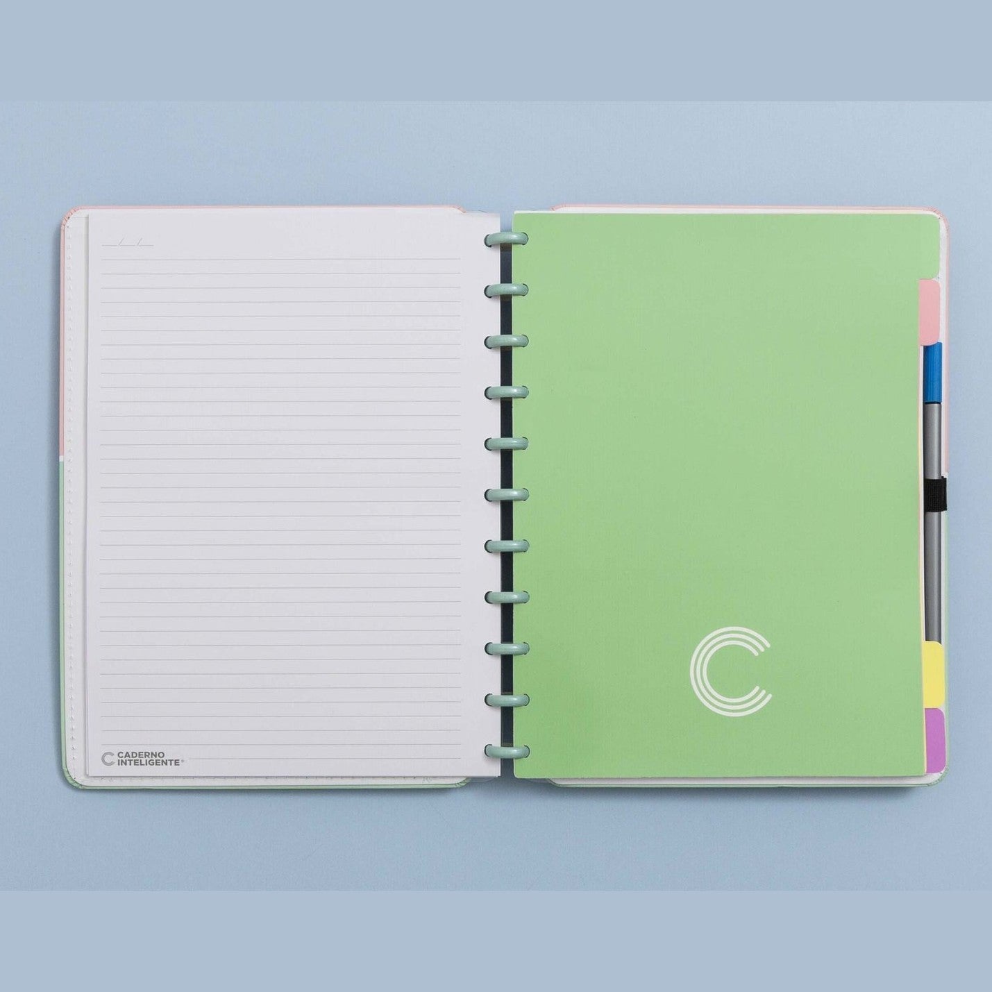 Separadores Pastel Grande para Caderno Inteligente