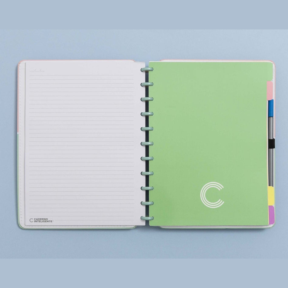 Separadores Pastel Grande para Caderno Inteligente