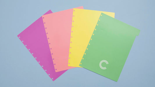 Separadores Pastel Grande para Caderno Inteligente