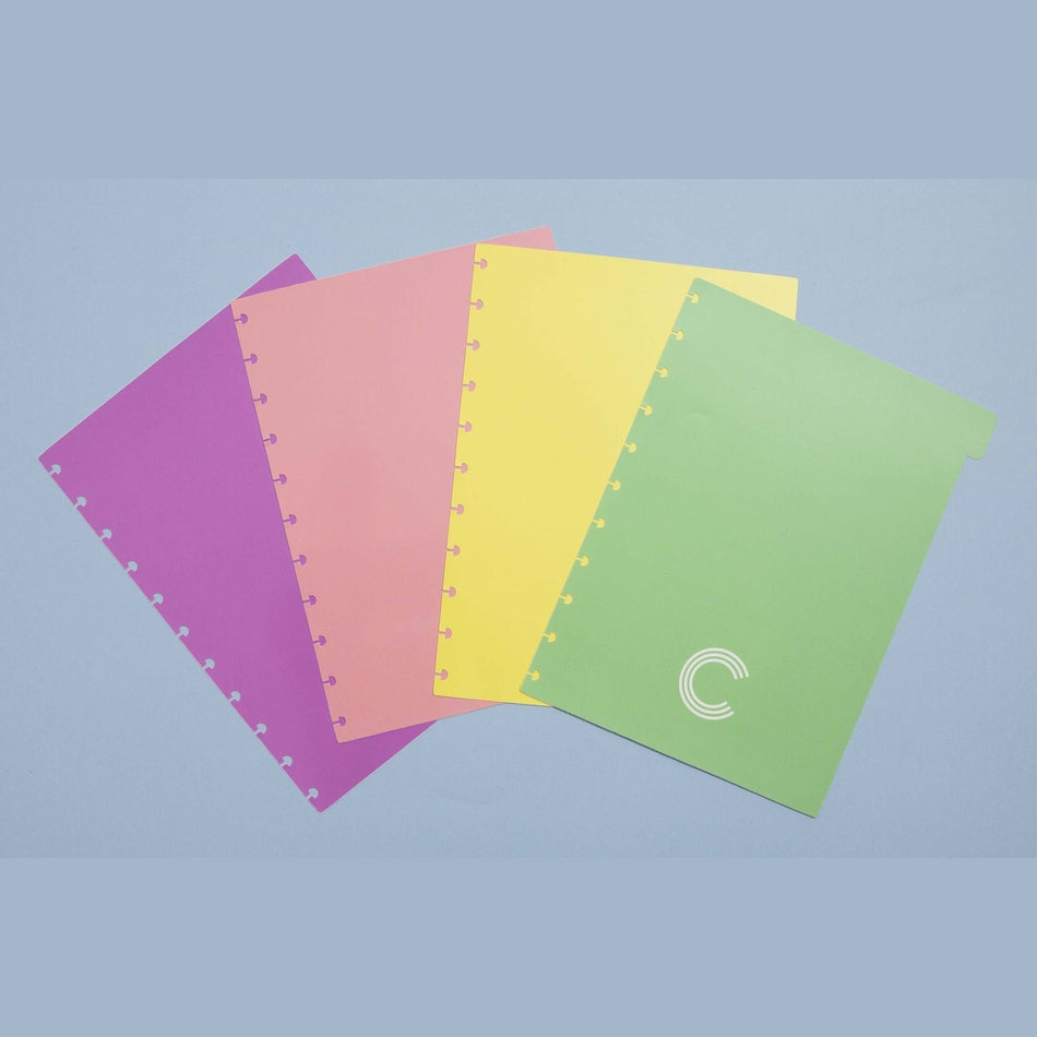Separadores Pastel Grande para Caderno Inteligente
