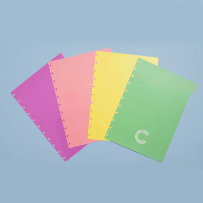 Separadores Pastel Grande para Caderno Inteligente