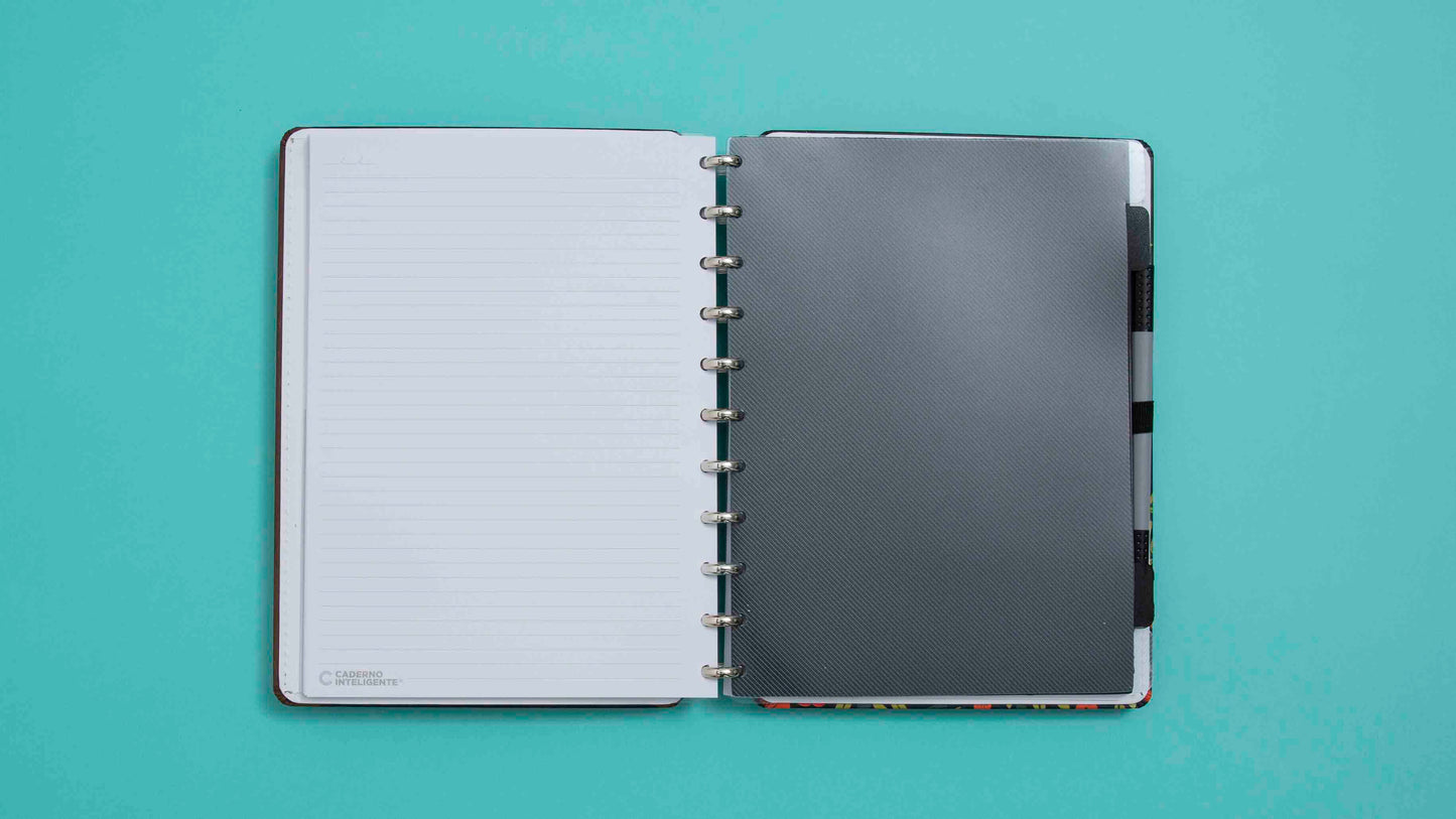 Separadores Básicos Grande para Caderno Inteligente