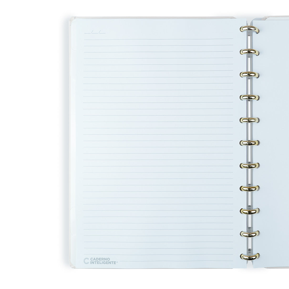 Caderno Inteligente by Isabela Akkari - Purple Key Grande