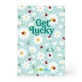 Caderno A6 Pautado de Capa Dura Legami – Ladybug