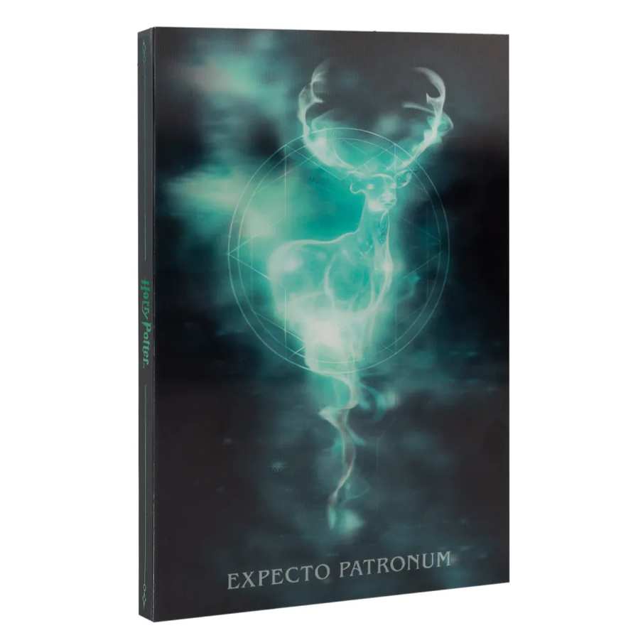 Caderno A5 Lenticular Harry Potter