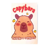 Caderno B5 Capivara