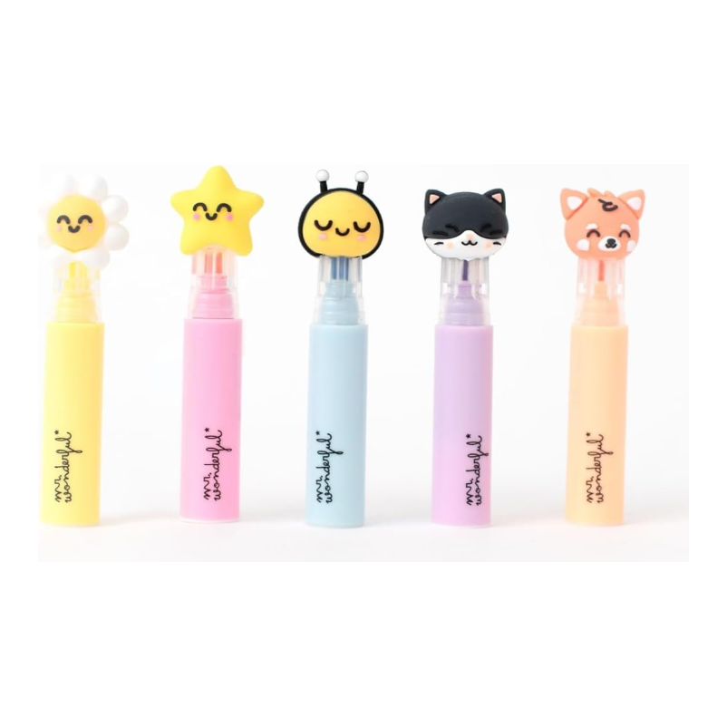 Sublinhadores Mr. Wonderfu 5 unidades