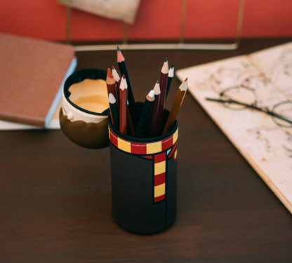 ESTOJO 3D HARRY POTTER HARRY