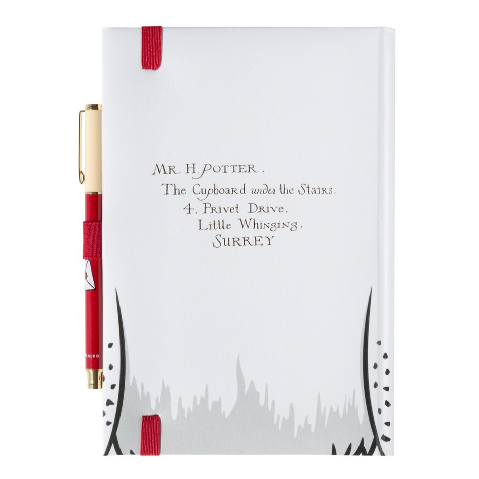 Caderno A5 premium com caneta Harry Potter hedwig