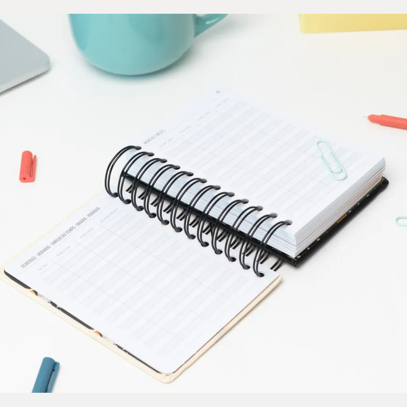 AGENDA ANUAL 2026 UM DIA POR PAGINA S PEACEFUL MIND