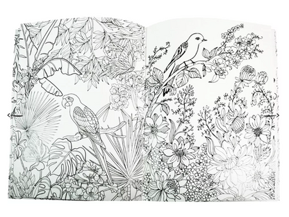 Livro para colorir - Colouring Calm and Peace – Birds