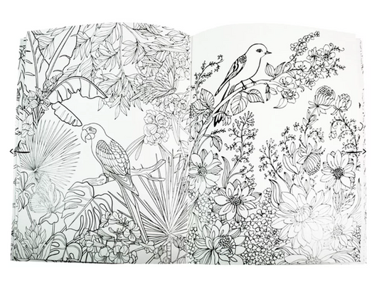 Livro para colorir - Colouring Calm and Peace – Birds