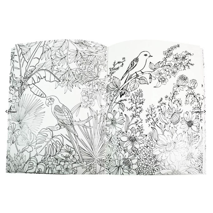 Livro para colorir - Colouring Calm and Peace – Birds