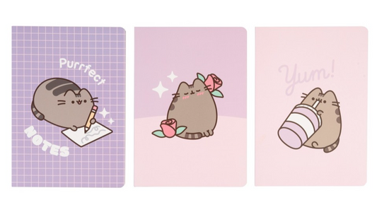 PACK 3 CADERNOS A5 PUSHEEN MOMENTS