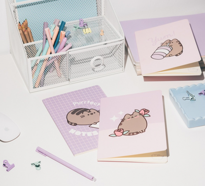 PACK 3 CADERNOS A5 PUSHEEN MOMENTS