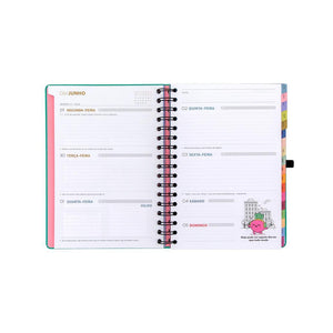 Agenda 26-27 Semanal 18 meses - Sonha muito, vive livre - Mr. Wonderful - Papelaria Encantada