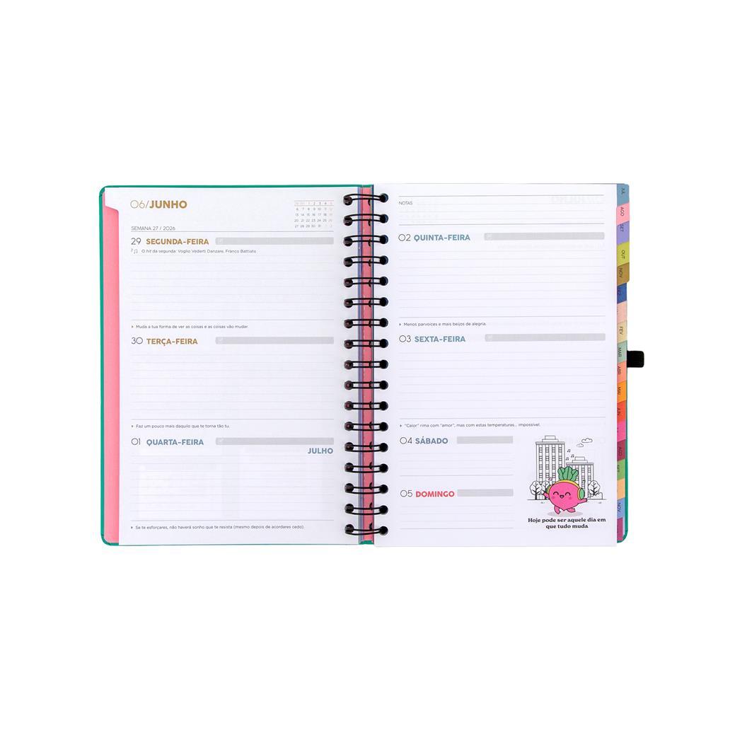 Agenda 26-27 Semanal 18 meses - Sonha muito, vive livre - Mr. Wonderful - Papelaria Encantada