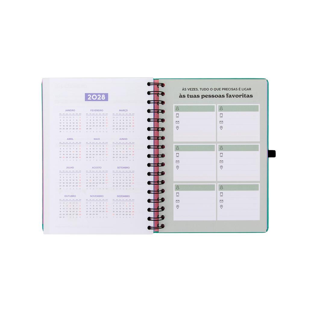 Agenda 26-27 Semanal 18 meses - Sonha muito, vive livre - Mr. Wonderful - Papelaria Encantada