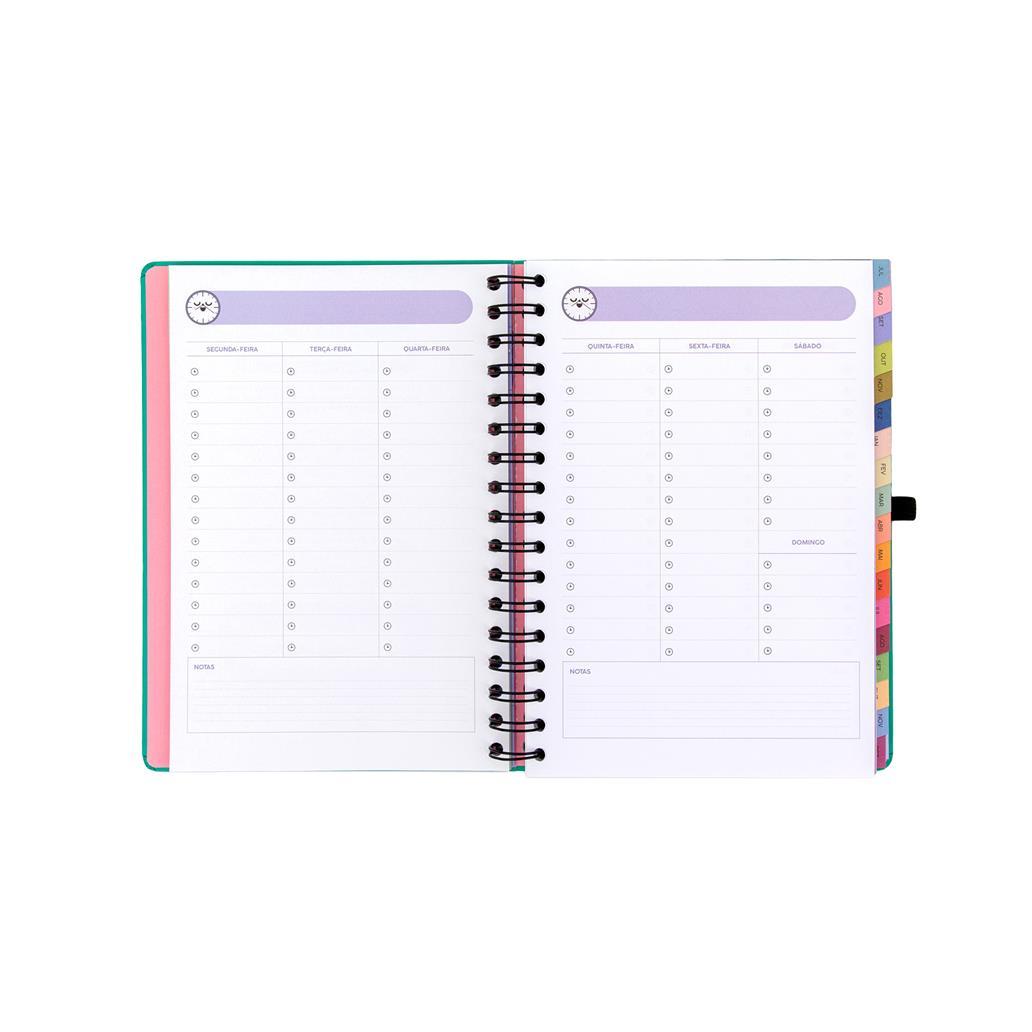 Agenda 26-27 Semanal 18 meses - Sonha muito, vive livre - Mr. Wonderful - Papelaria Encantada