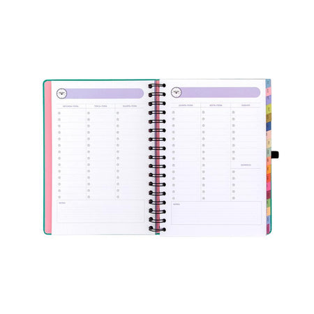 Agenda 26-27 Semanal 18 meses - Sonha muito, vive livre - Mr. Wonderful - Papelaria Encantada