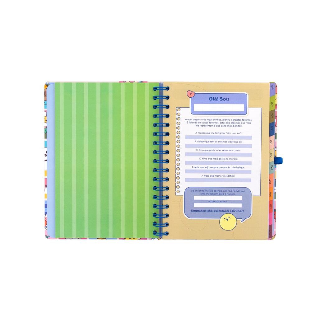 Agenda 26-27 Semanal - Manual para um ano brilhante - Mr. Wonderful - Papelaria Encantada